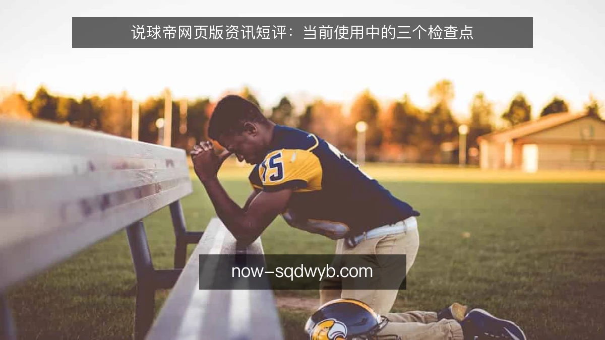说球帝网页版资讯短评:当前使用中的三个检查点