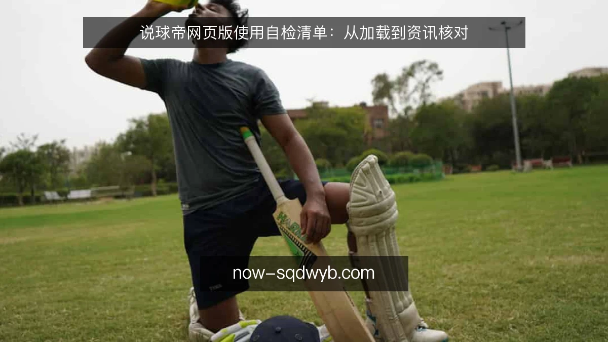 说球帝网页版使用自检清单：从加载到资讯核对