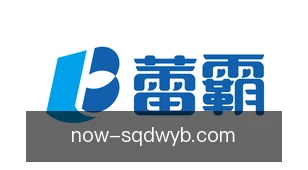 说球帝网页版