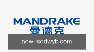 说球帝网页版