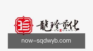 说球帝网页版